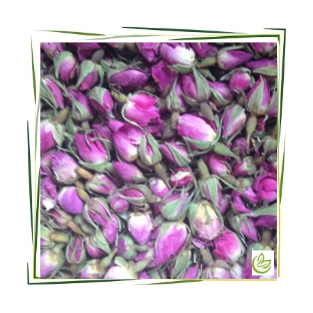 Rosenknospen ganz rosa